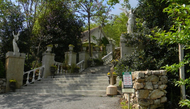 Entry Steps to Parrot Mountain