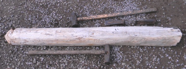 Hickory log